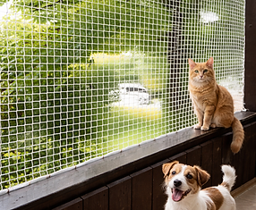 Pet Safety Nets Ledge